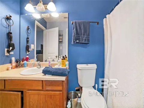 4615 Green Forest Ct, Mobile, AL 36618 photo 14
