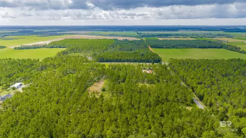 30083 Gardner Rd, Elberta, AL 36530 photo 8