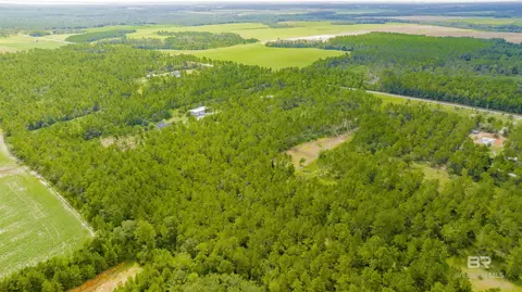 30083 Gardner Rd, Elberta, AL 36530 photo 10