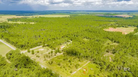 30083 Gardner Rd, Elberta, AL 36530 photo 2