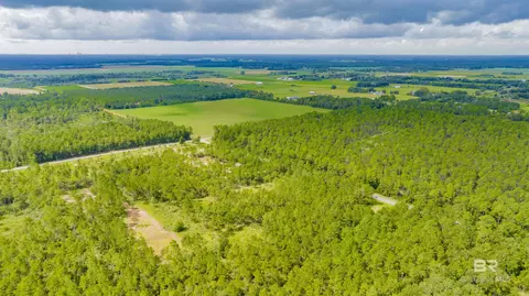 30083 Gardner Rd, Elberta, AL 36530 photo 7