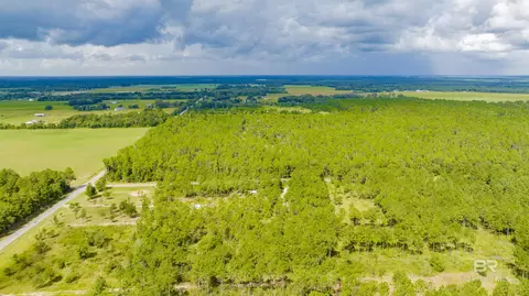 30083 Gardner Rd, Elberta, AL 36530 photo 5