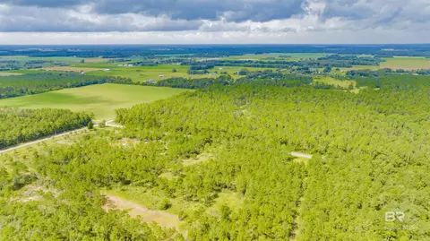 30083 Gardner Rd, Elberta, AL 36530 photo 6