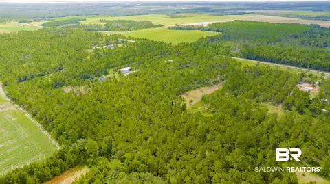 30083 Gardner Rd, Elberta, AL 36530 photo 10