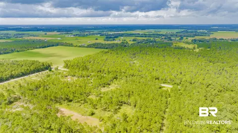 30083 Gardner Rd, Elberta, AL 36530 photo 6
