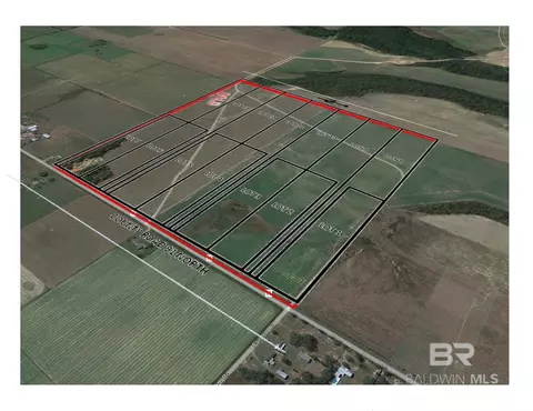 00000 County Road 91, Lillian, AL 36549