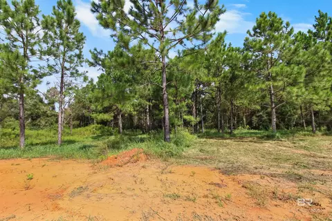 Other - 26197 Eagle Trce, Elberta, AL 36530 photo 7 of 7
