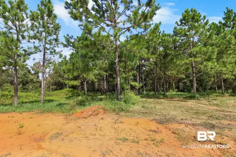 26197 Eagle Trce, Elberta, AL 36530 photo 26