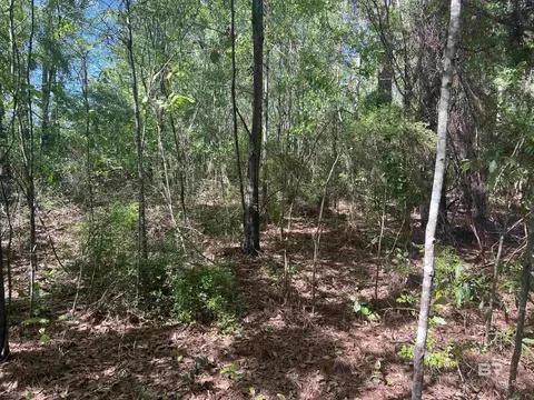 00 N Pine Barren Rd, Mcdavid, FL 32568 photo 6