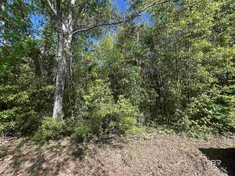 00 N Pine Barren Rd, Mcdavid, FL 32568 photo 7