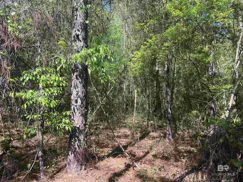 00 N Pine Barren Rd, Mcdavid, FL 32568 photo 5