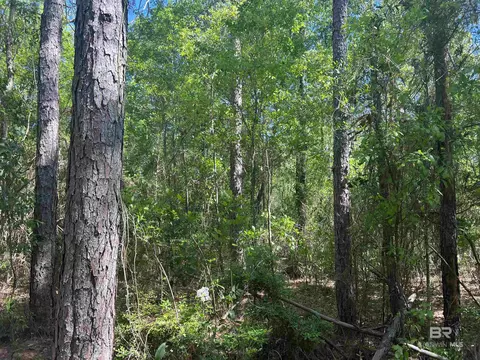 00 N Pine Barren Rd, Mcdavid, FL 32568 photo 3
