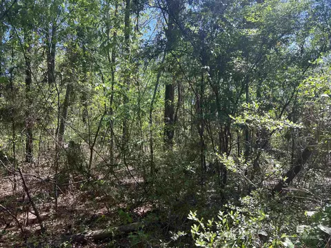 00 N Pine Barren Rd, Mcdavid, FL 32568 photo 4