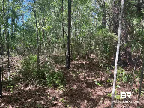 00 N Pine Barren Rd, Mcdavid, FL 32568 photo 6