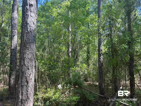 00 N Pine Barren Rd, Mcdavid, FL 32568 photo 3
