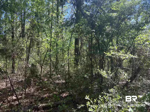 00 N Pine Barren Rd, Mcdavid, FL 32568 photo 4