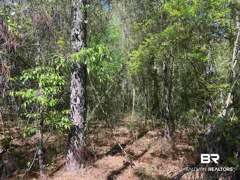 00 N Pine Barren Rd, Mcdavid, FL 32568 photo 5