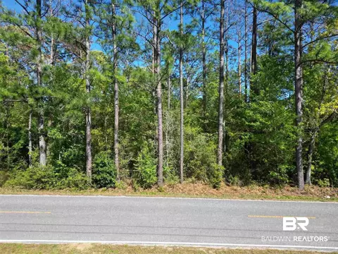 00 N Pine Barren Rd, Mcdavid, FL 32568