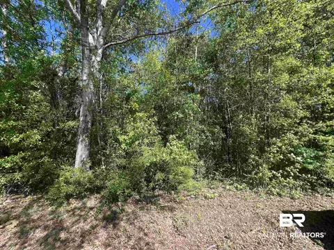 00 N Pine Barren Rd, Mcdavid, FL 32568 photo 7