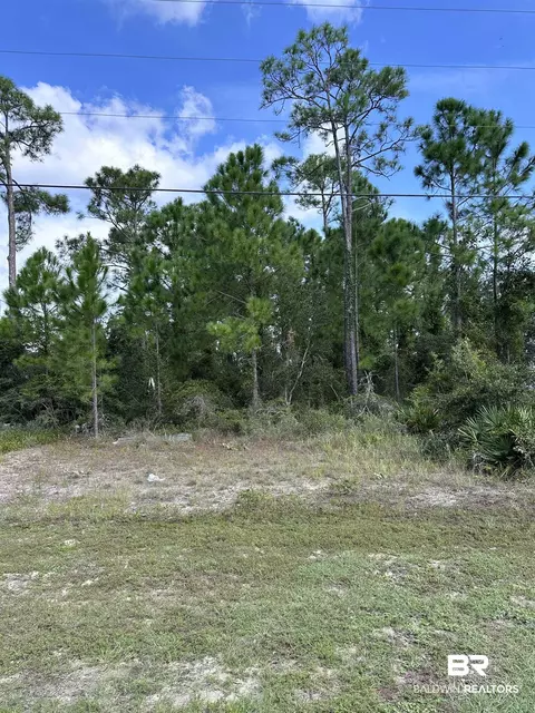 Cotton Bayou Drive, Orange Beach, AL 36561