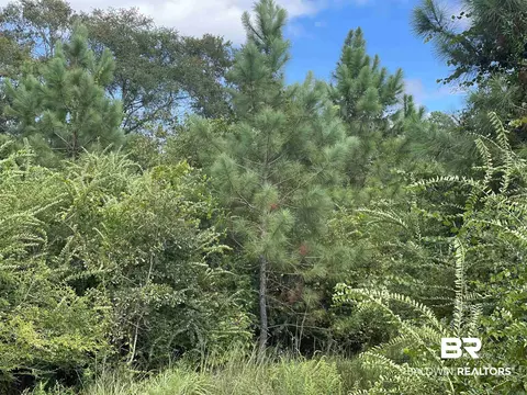 5700 Block Pine Forest Rd, Walnut Hill, FL 32568 photo 7