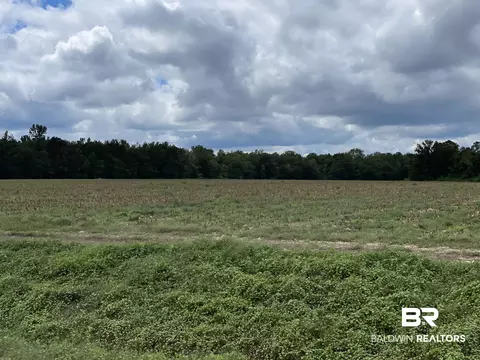 5700 Block Pine Forest Rd, Walnut Hill, FL 32568 photo 38