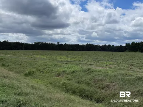 5700 Block Pine Forest Rd, Walnut Hill, FL 32568 photo 25