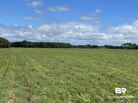5700 Block Pine Forest Rd, Walnut Hill, FL 32568 photo 18