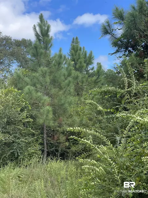 5700 Block Pine Forest Rd, Walnut Hill, FL 32568 photo 6