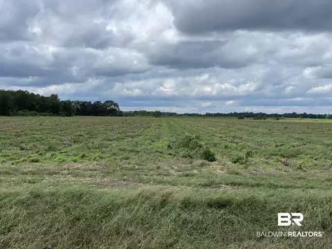5700 Block Pine Forest Rd, Walnut Hill, FL 32568 photo 27