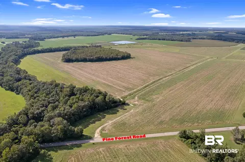 5700 Block Pine Forest Rd, Walnut Hill, FL 32568 photo 22