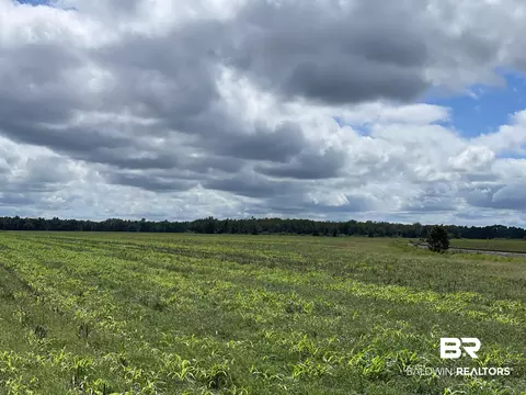 5700 Block Pine Forest Rd, Walnut Hill, FL 32568 photo 15