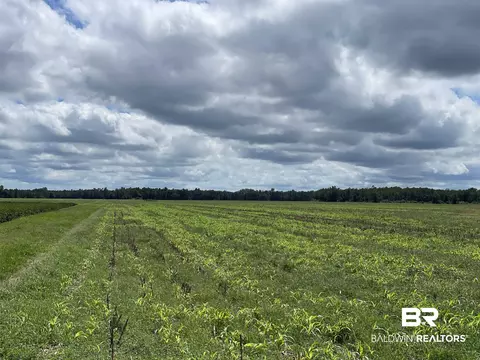 5700 Block Pine Forest Rd, Walnut Hill, FL 32568 photo 16