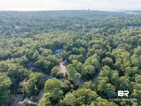 101 Cameron Cir, Daphne, AL 36526 photo 36