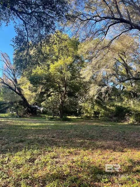 10600 Dora Hand Ln, Foley, AL 36535