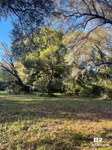 10600 Dora Hand Ln, Foley, AL 36535