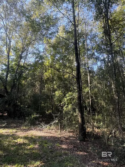 1067 County Road 7, Range, AL 36473 photo 16