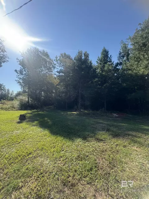 1067 County Road 7, Range, AL 36473 photo 23