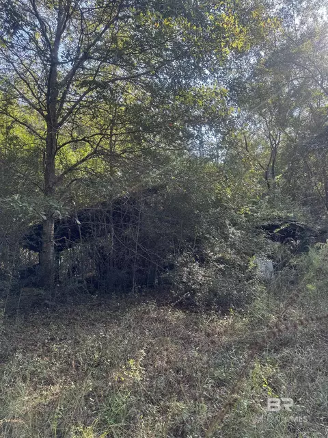 1067 County Road 7, Range, AL 36473 photo 19