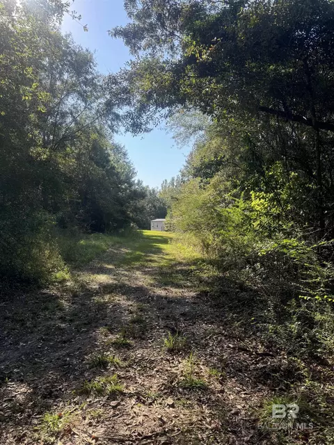 1067 County Road 7, Range, AL 36473 photo 22