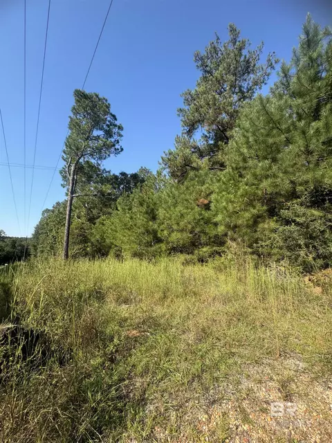 1067 County Road 7, Range, AL 36473 photo 10