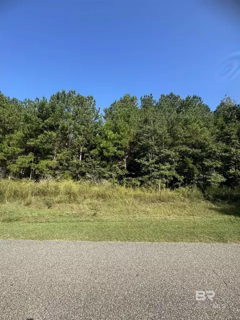 1067 County Road 7, Range, AL 36473 photo 11