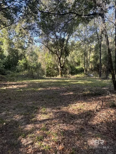 1067 County Road 7, Range, AL 36473 photo 14