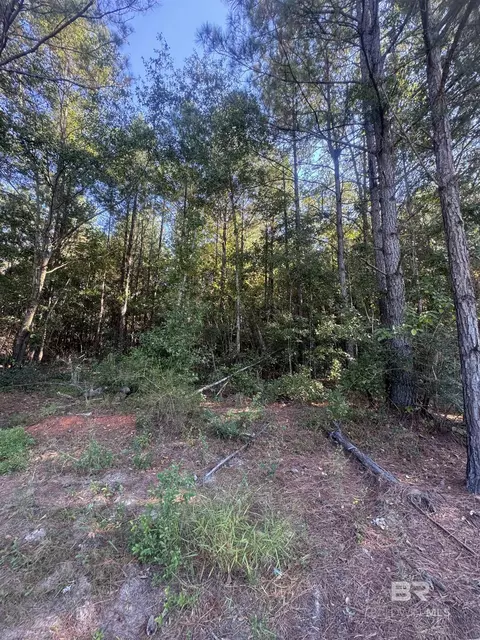 1067 County Road 7, Range, AL 36473 photo 17