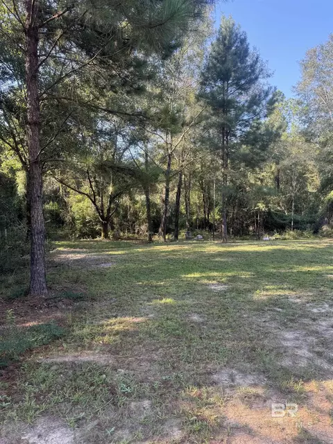 1067 County Road 7, Range, AL 36473 photo 27