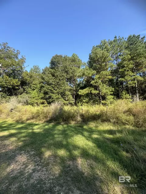 1067 County Road 7, Range, AL 36473 photo 12