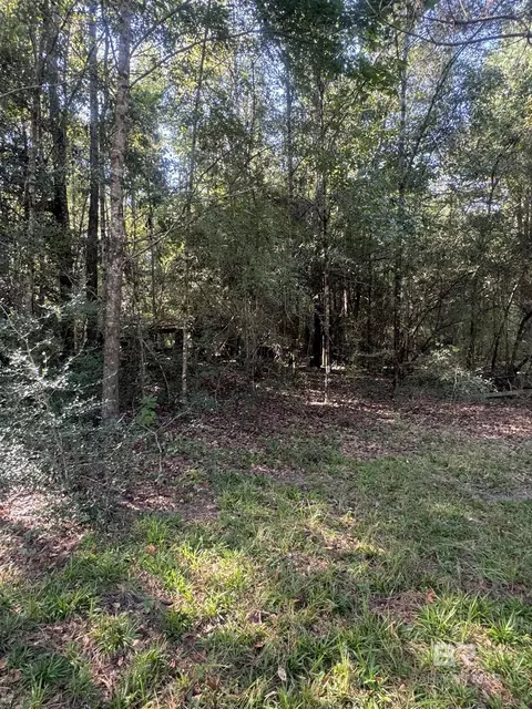 1067 County Road 7, Range, AL 36473 photo 15