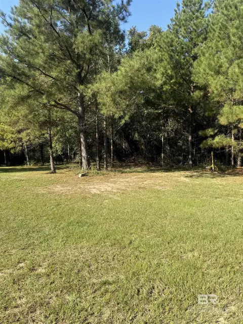 1067 County Road 7, Range, AL 36473 photo 24