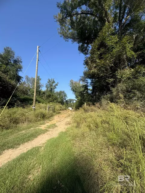 1067 County Road 7, Range, AL 36473 photo 13