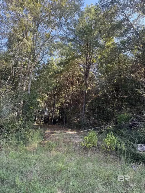 1067 County Road 7, Range, AL 36473 photo 18